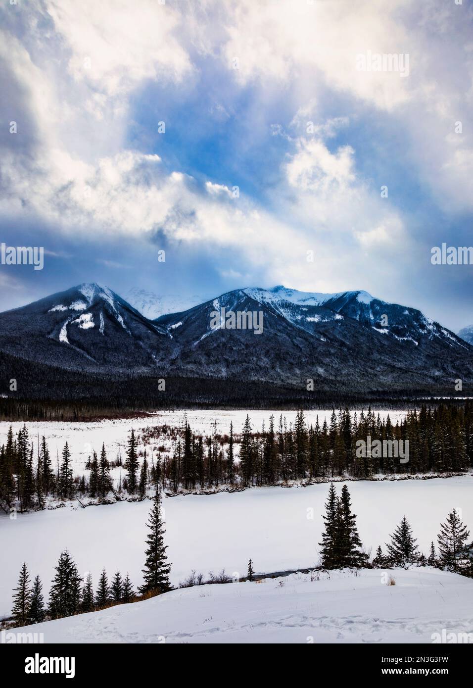 Vue des montagnes Rocheuses canadiennes en hiver dans le parc national Banff ; Alberta, Canada Banque D'Images
