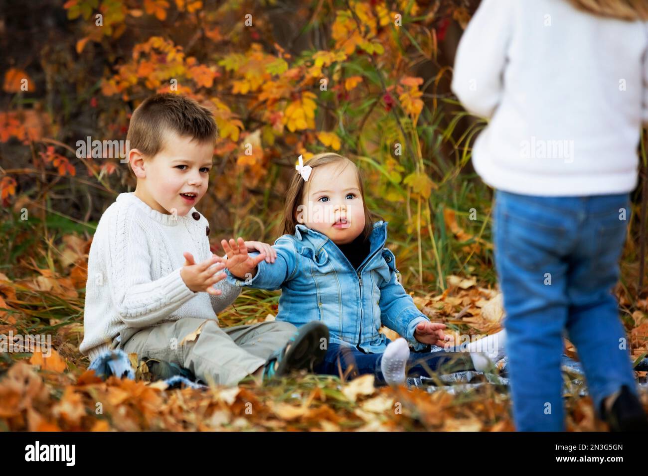 Deux jeunes sœurs, l'une avec Down Sydnrome, et leur frère aîné, jouant ensemble dans un parc municipal pendant la saison d'automne Banque D'Images