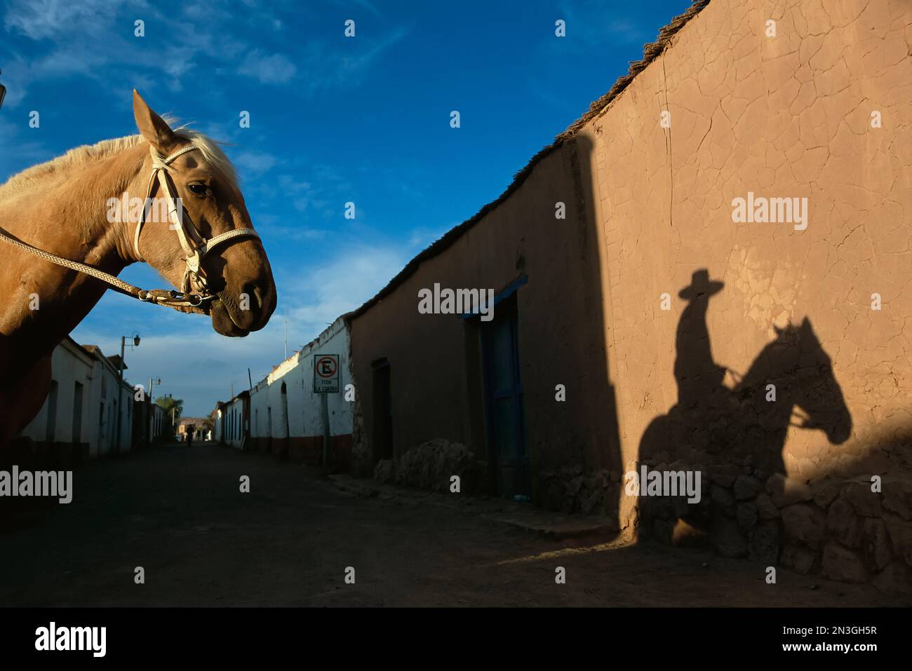 Un cheval et un cavalier jettent une ombre sur un mur en adobe Photo Stock  - Alamy