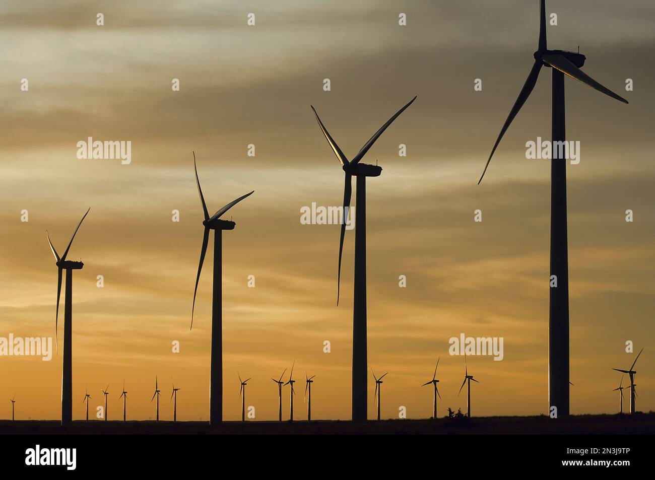 Des éoliennes silhouetées sur un parc éolien au coucher du soleil. Les fermes éoliennes fragmentent gravement l'habitat des oiseaux des prairies Banque D'Images