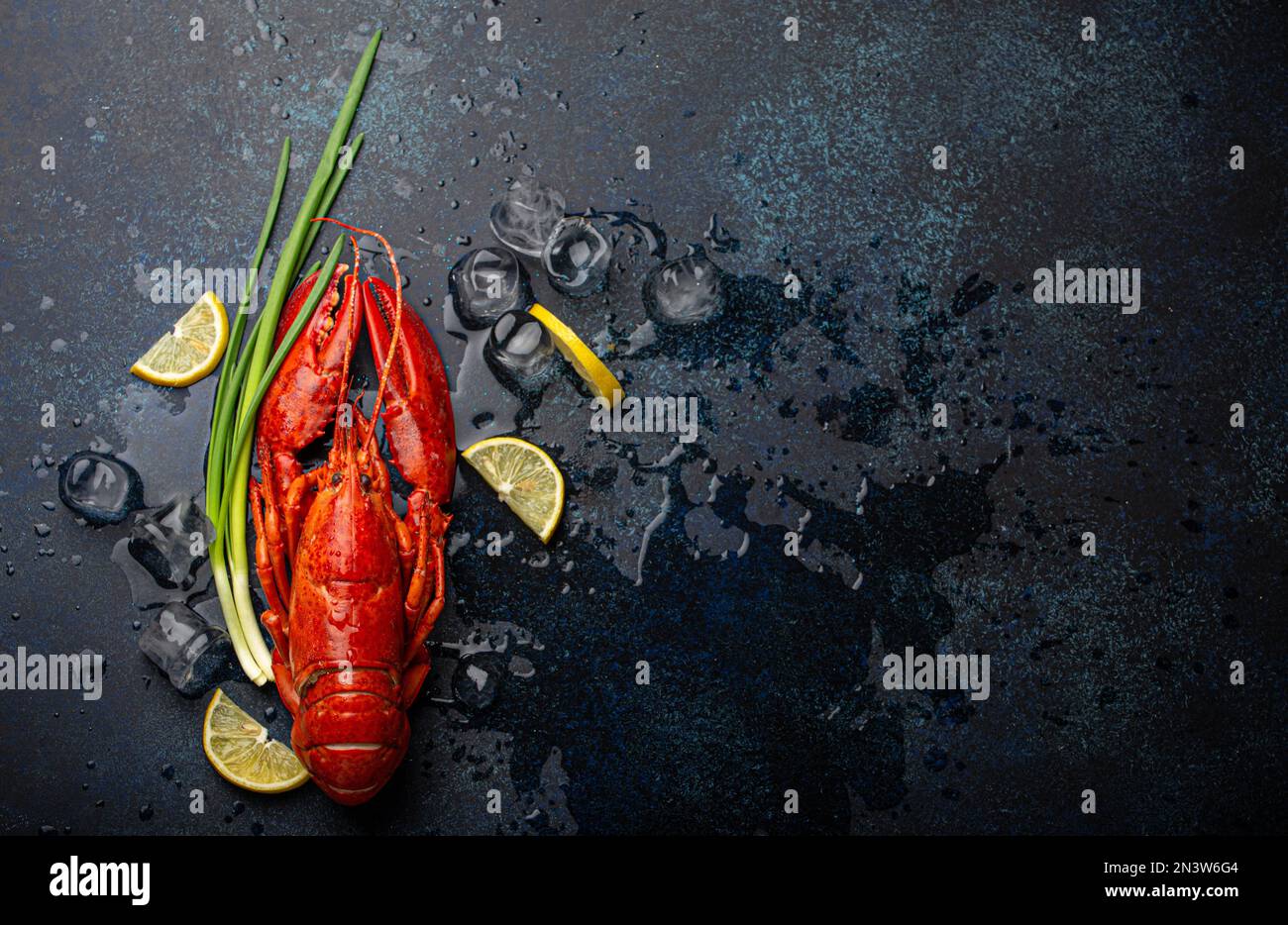 Homard entier rouge cuit bouilli prêt à manger servi avec des quartiers de citron et des cubes de glace. Vue de dessus plat sur fond de pierre en béton bleu, fruits de mer Banque D'Images