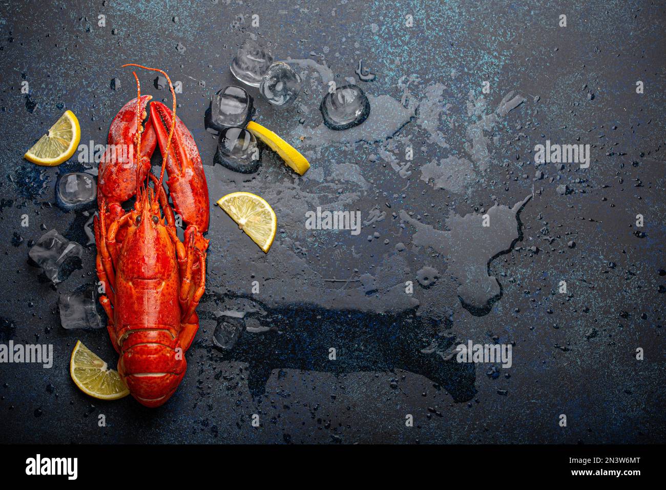 Homard entier rouge cuit bouilli prêt à manger servi avec des quartiers de citron et des cubes de glace. Vue de dessus plat sur fond de pierre en béton bleu, fruits de mer Banque D'Images