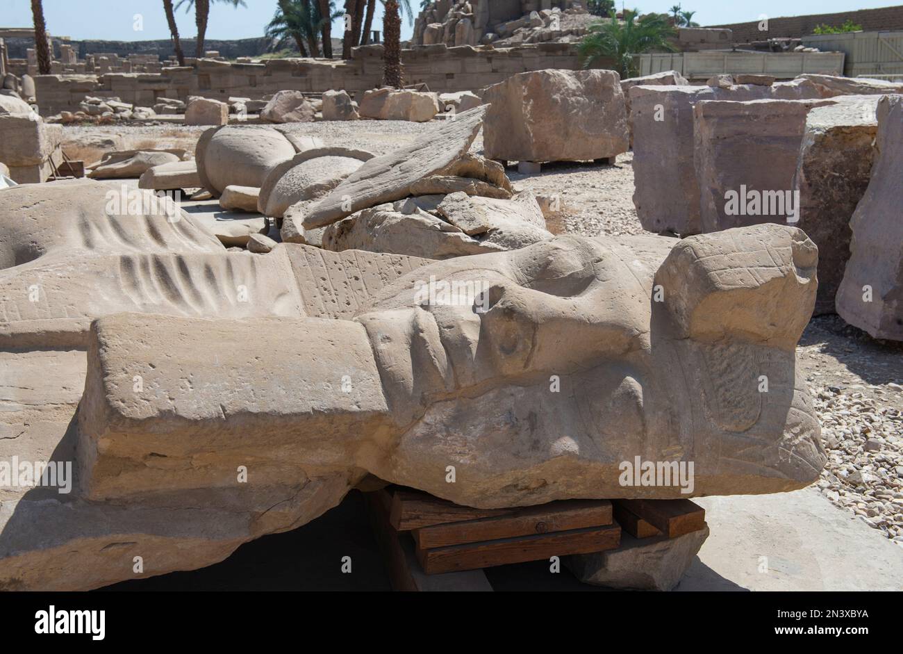Grande statue cassée de Ramses II tête dans l'ancien temple égyptien de Karnak couché en cours de restauration Banque D'Images