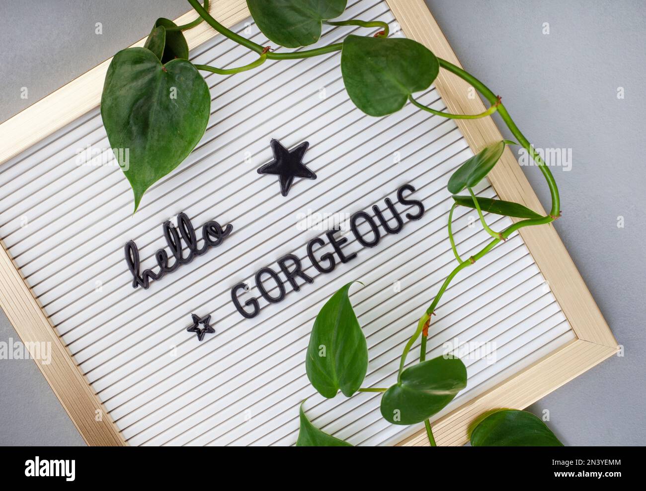 Tableau de lettres avec Hello magnifique écrit dessus, avec cadre doré et feuilles sur gris Banque D'Images