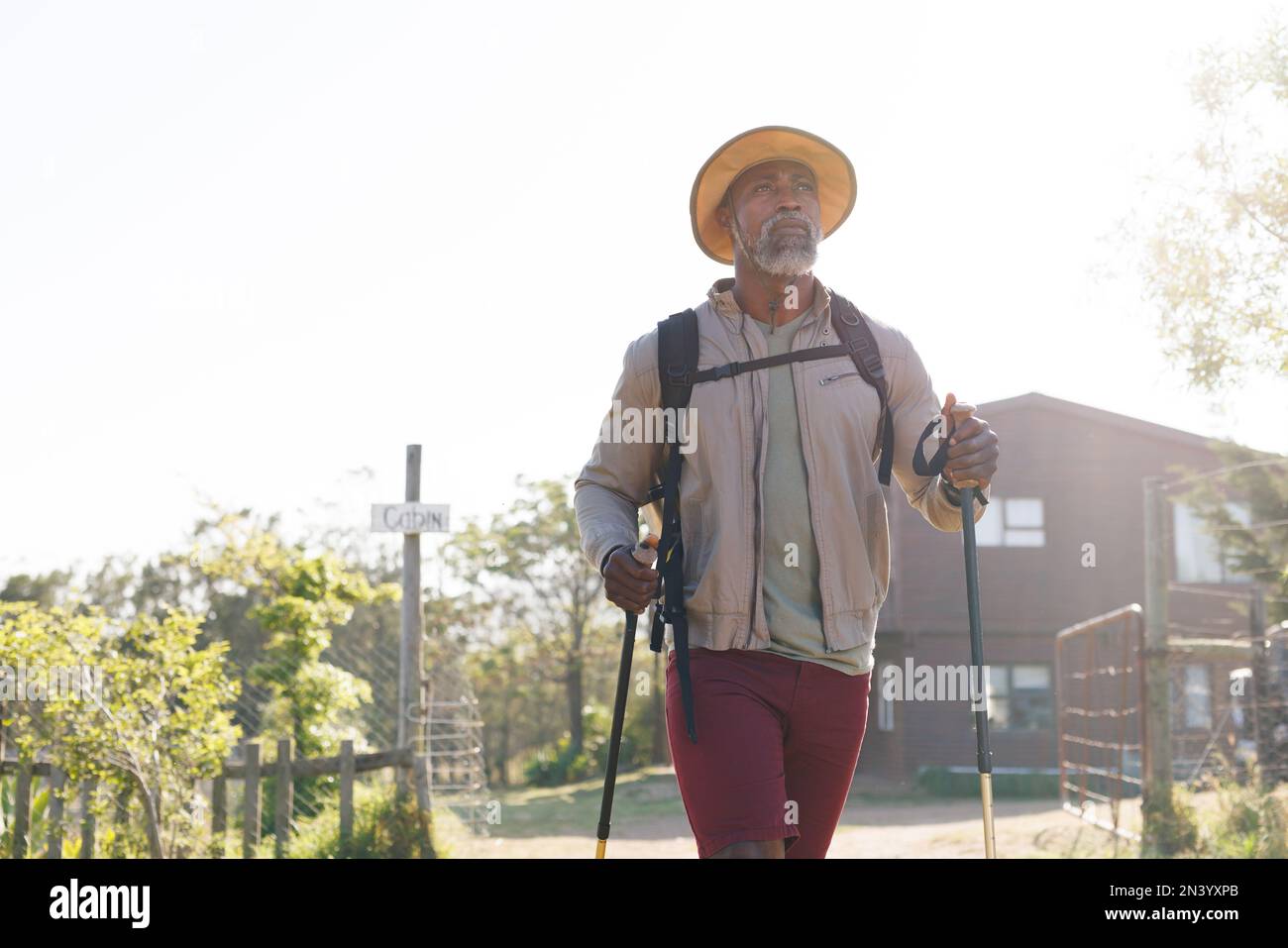 Homme senior afro-américain portant un chapeau avec des bâtons de randonnée pédestre sur le sentier forestier Banque D'Images