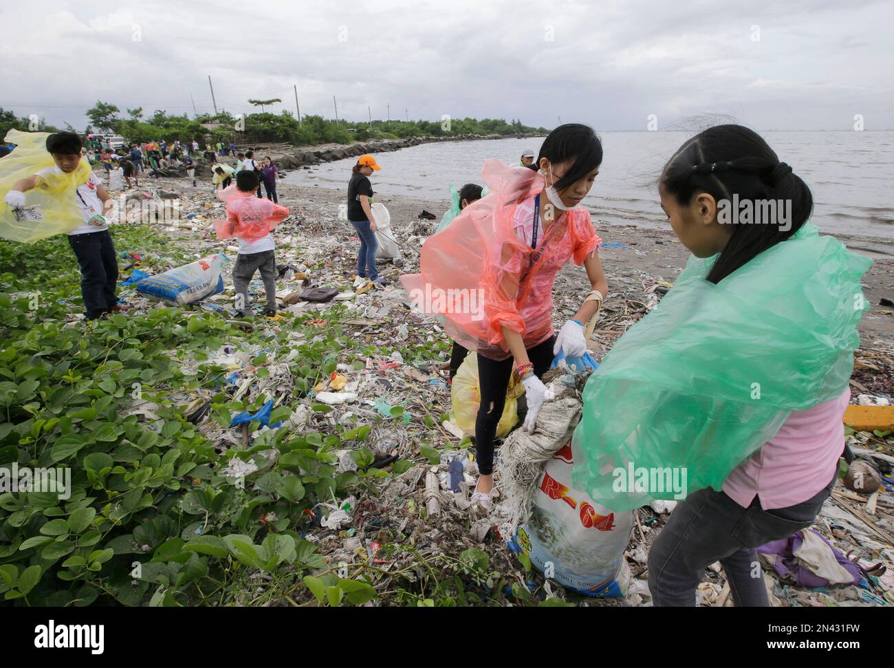 Environmentalists conduct a coastal clean up at the bird sanctuary, known as Freedom Island, to mark the third year of the campaign to save the only bird sanctuary in the metropolis Saturday, Sept. 13, 2014 at suburban Paranaque city, south of Manila, Philippines. Various environmental groups trooped to the island to protest the planned reclamation of thousands of hectares of Manila Bay, including the Freedom Island. (AP Photo/Bullit Marquez) Banque D'Images