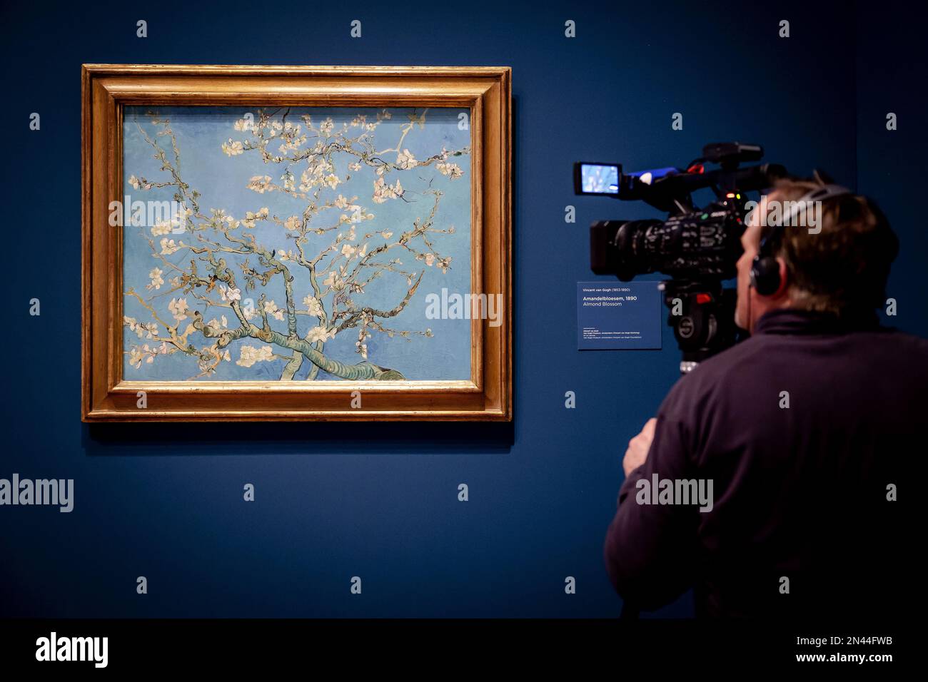 AMSTERDAM - 08/02/2023, la peinture Almond Blossom par Vincent van Gogh lors de la prévisualisation de l'exposition jubilé choisissant Vincent, un hommage à la famille Van Gogh. Cette année, le musée Van Gogh célèbre son anniversaire de 50th avec trois grandes expositions sur l'artiste. ANP ROBIN VAN LONKHUIJSEN pays-bas sortie - belgique sortie Banque D'Images