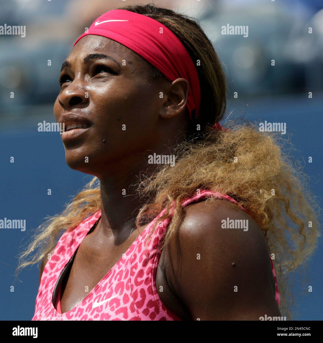 Serena Williams, of the United States, pauses between serves against Kaia Kanepi, of Estonia, during the fourth round of the 2014 U.S. Open tennis tournament, Monday, Sept. 1, 2014, in New York. (AP Photo/Charles Krupa) Banque D'Images