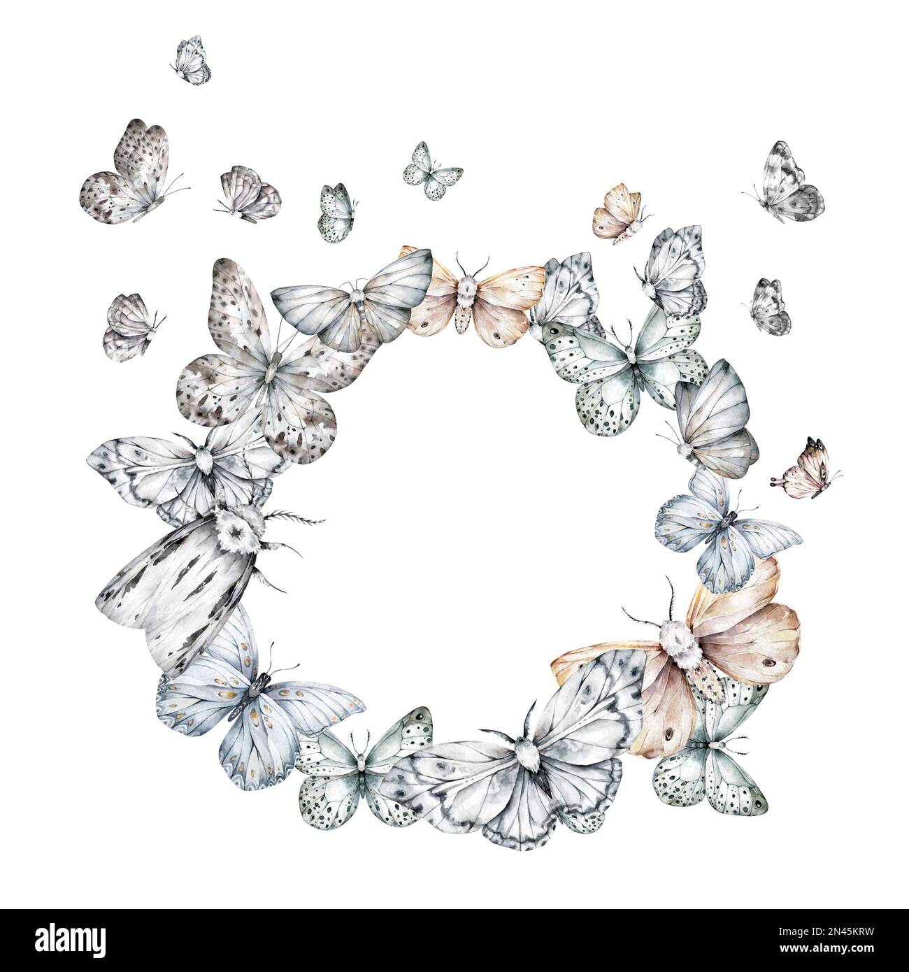 Papillons noir et blanc aquarelle cadre de cercle pour le texte. Illustration des plantes et de la faune Banque D'Images