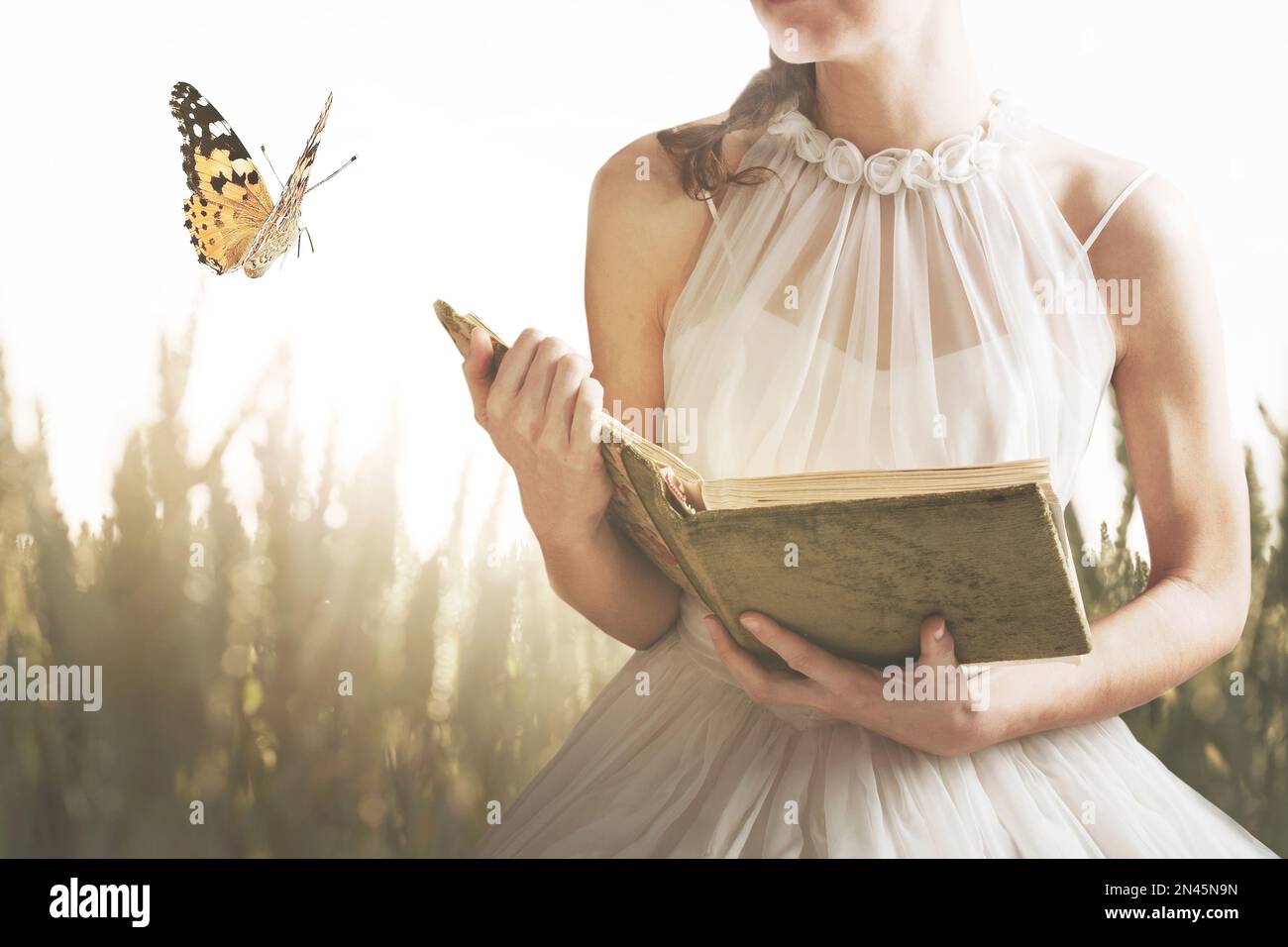 rencontre surréaliste dans un pré entre une femme lisant un livre et un concept abstrait de papillon Banque D'Images