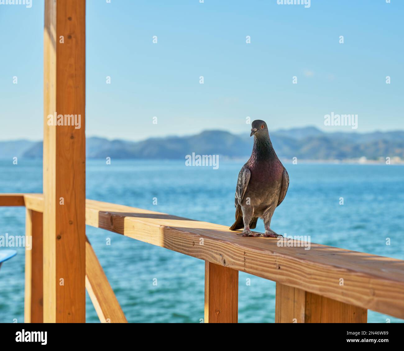 point de vue d'un restaurant sur la mer où vous pourrez apprécier le coucher de soleil sur la plage avec un ciel bleu clair Banque D'Images