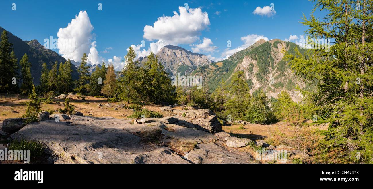 Vue panoramique sur le plateau de la Coche dans le parc national des Ecrins avec la vallée de Champoléon en arrière-plan. Hautes-Alpes (Alpes), France Banque D'Images