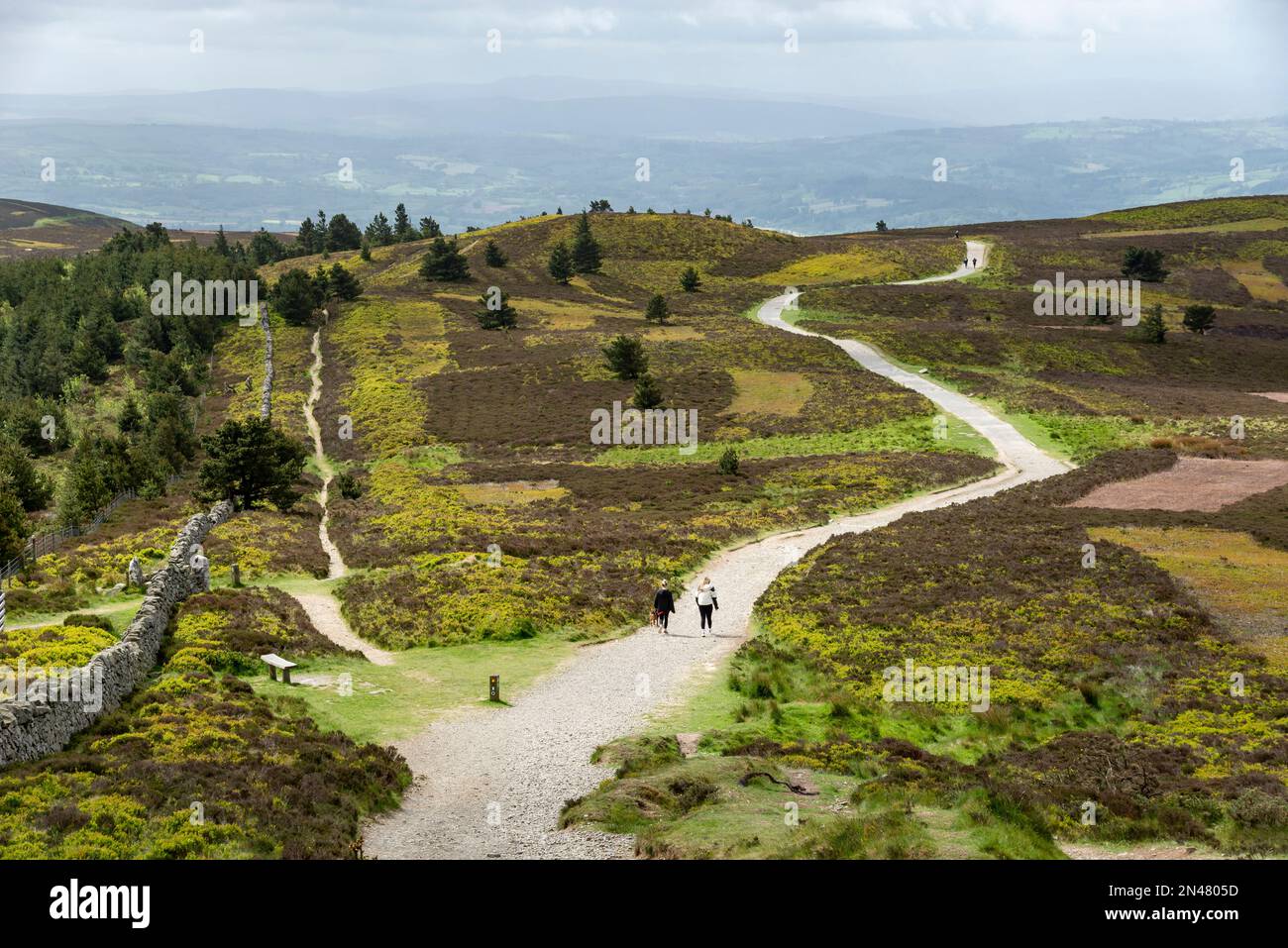 Sentiers dans le parc national de Moel Famau, domaine de Clwydian, pays de Galles du Nord. Banque D'Images