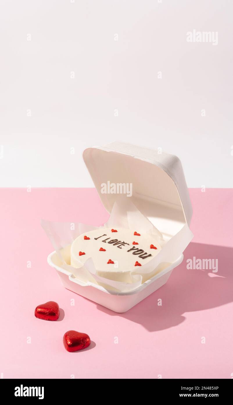 Petit gâteau bento dans une boîte sur fond minimaliste Banque D'Images