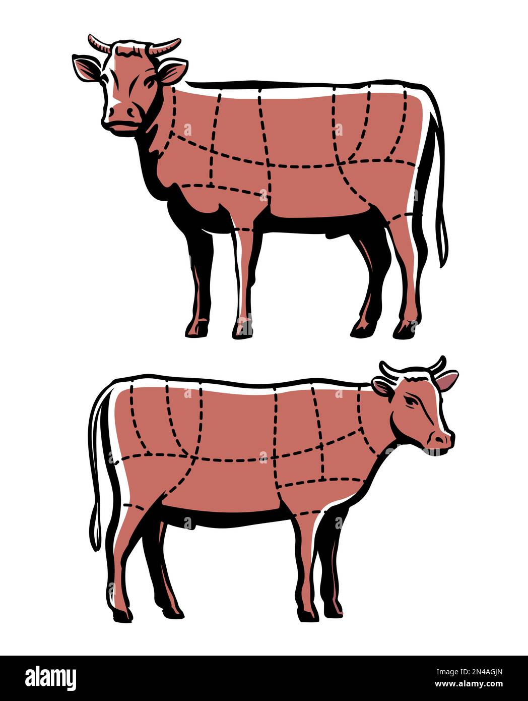 Tableau des coupes de bœuf. Schéma de coupe de la viande de vache pour le menu du restaurant ou la boucherie. Illustration du vecteur animal de ferme Illustration de Vecteur