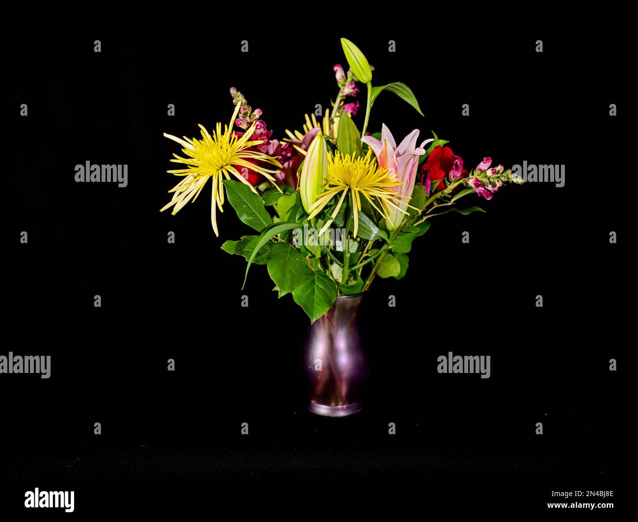 La vie d'un joli arrangement floral dans un vase violet est mise en évidence sur un fond noir. Banque D'Images