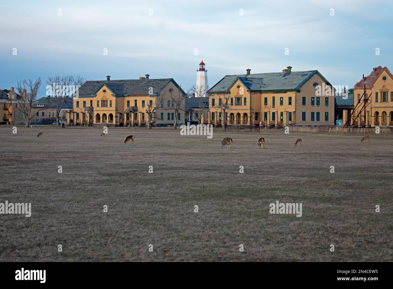 Une rangée de bâtiments endommagés en cours de restauration à fort Hancock à Sandy Hook, New Jersey et le phare avec plusieurs cerfs au premier plan -61 Banque D'Images