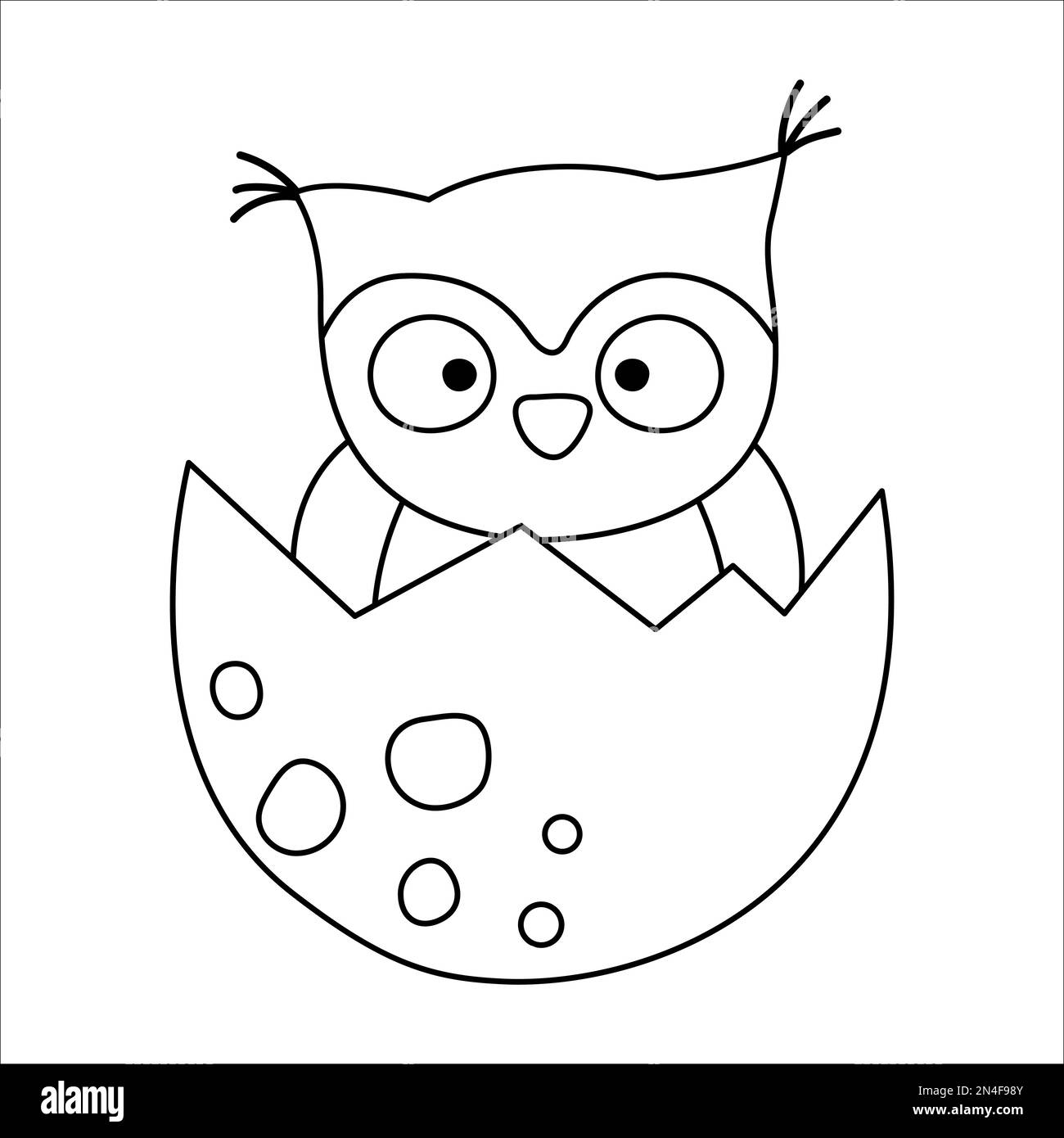 Icône représentant un hibou noir et blanc vectoriel. Illustration du
