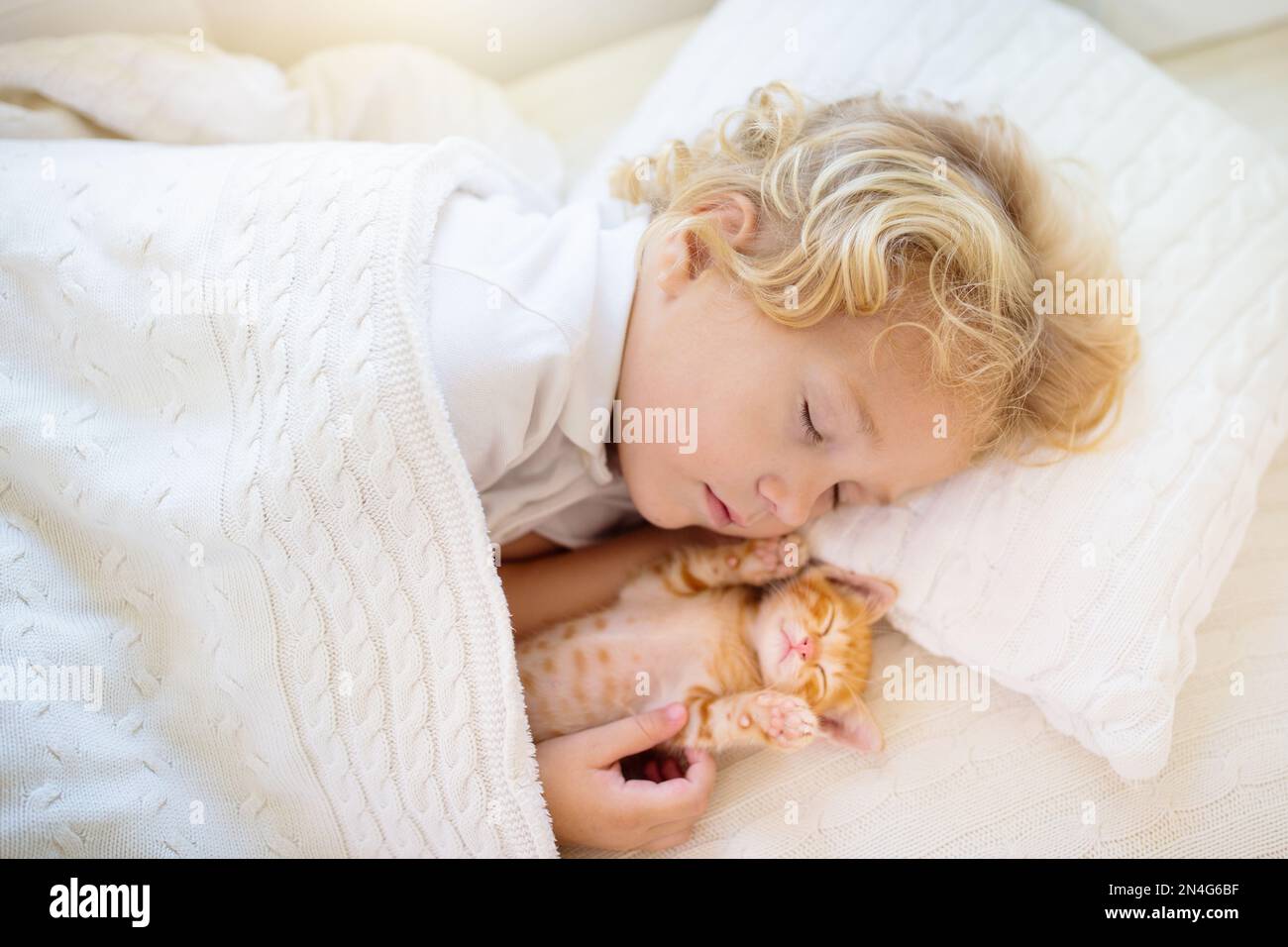 Bébé garçon dormant avec chaton sur couverture tricotée blanche. Enfant et  chat. Enfants et animaux domestiques. Petit enfant avec son animal. Une  agréable soirée d'hiver avec les animaux de compagnie Photo Stock -