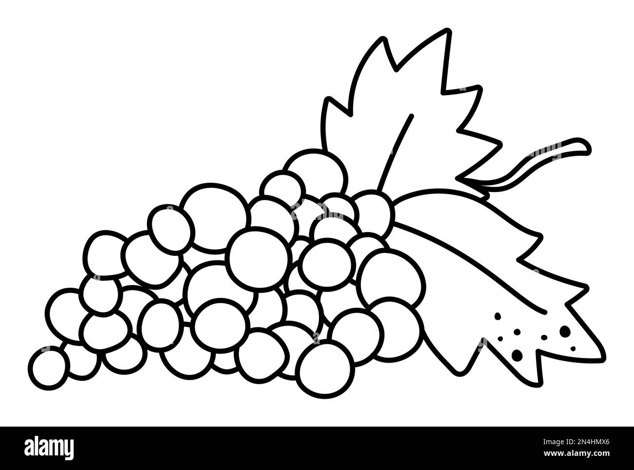 Raisins noirs et blancs vectoriels avec feuilles. Icône de la ligne de fruits d'automne. Illustration amusante du vin de raisin sur fond blanc. Jardin ou ferme Illustration de Vecteur