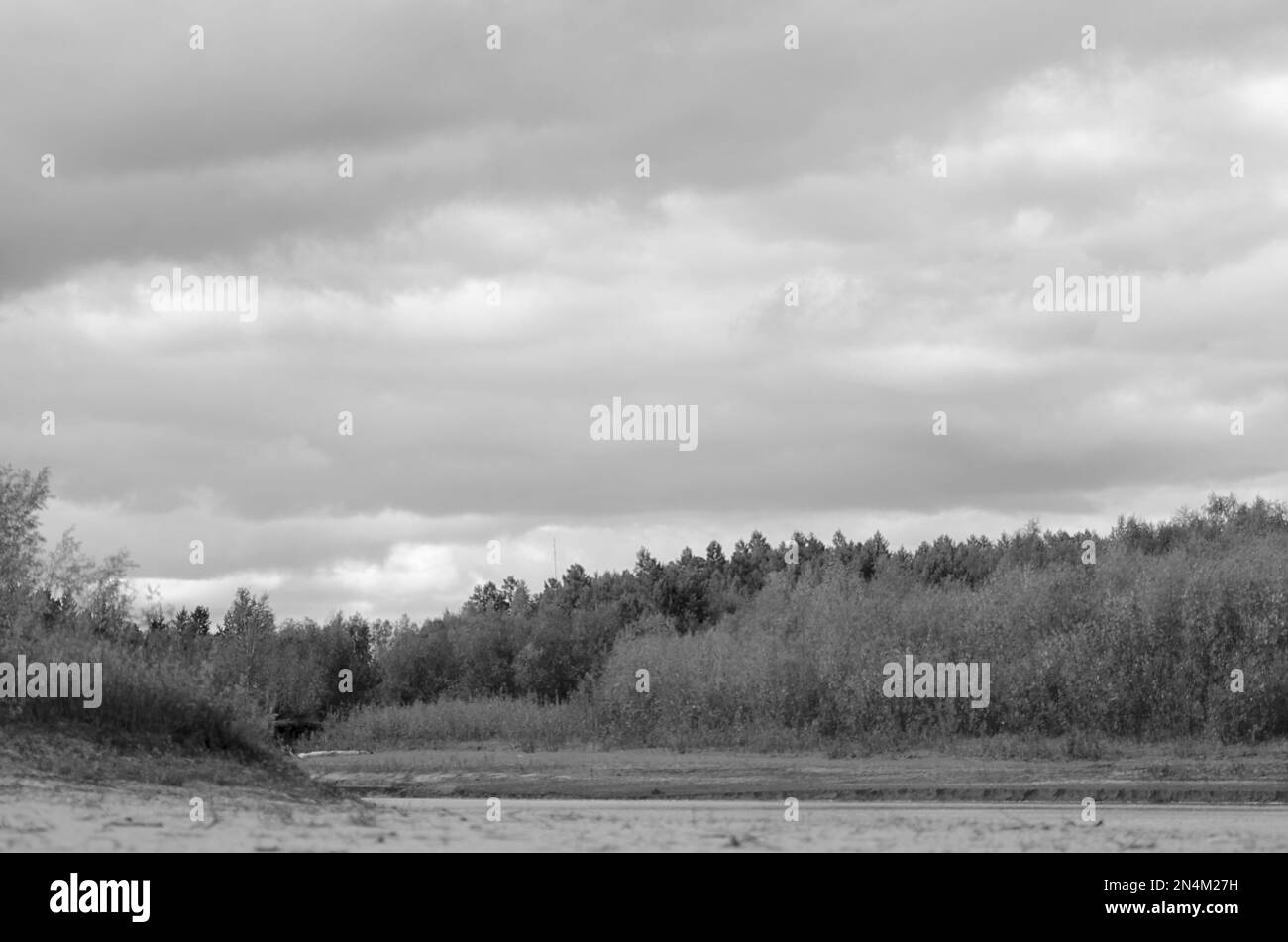 Photo en noir et blanc des sommets des arbres et des buissons à l'ombre pendant la journée sous les nuages près d'une petite rivière dans la toundra du nord de Yakuti Banque D'Images