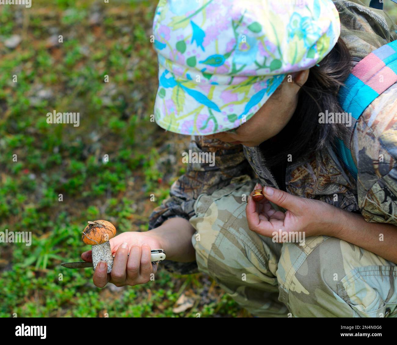 Une jeune collectionneur asiatique de champignons à Yakutia avec un couteau dans ses chèques de main a trouvé un champignon dans la forêt contre l'herbe. Banque D'Images
