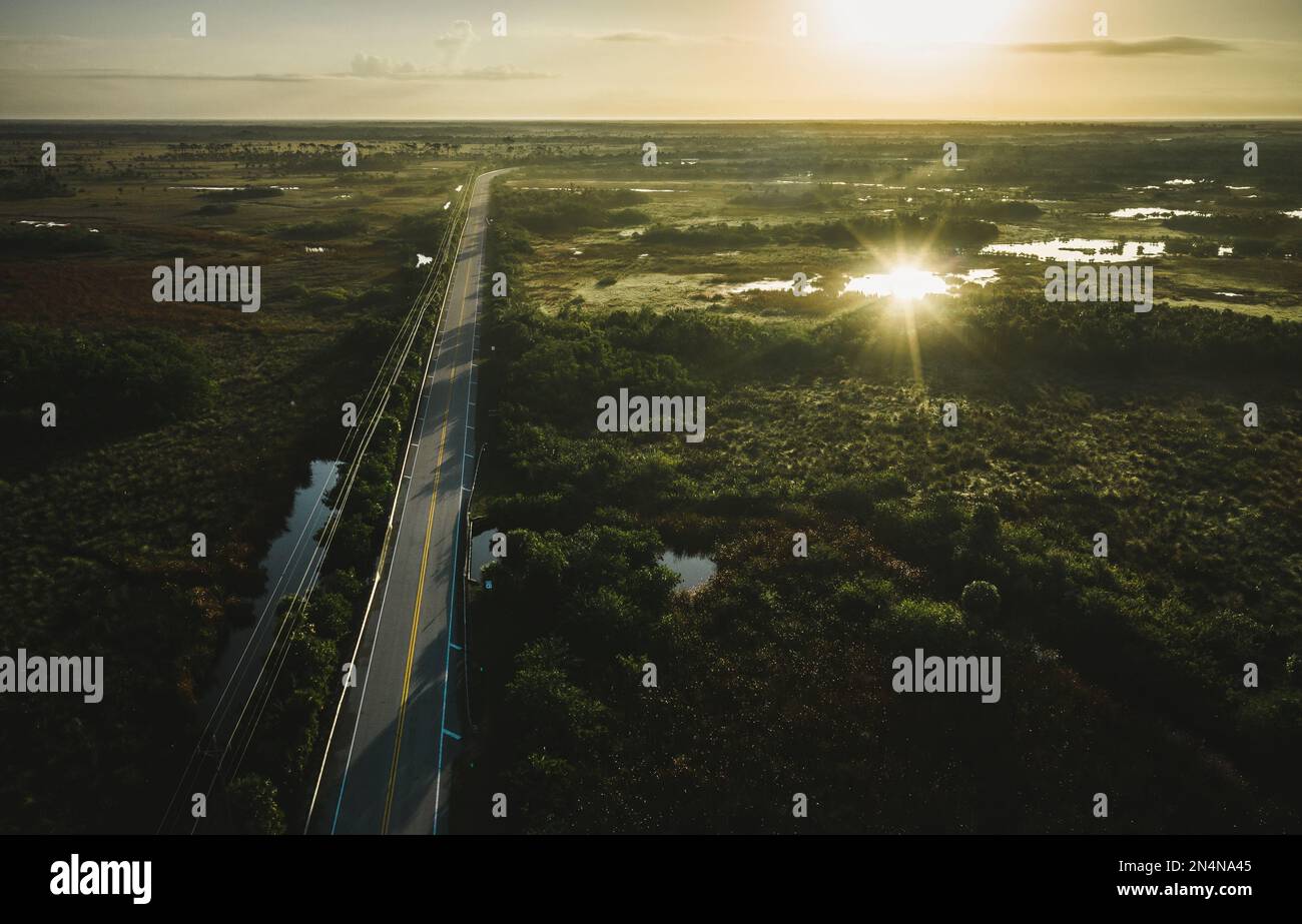 Photo aérienne des Everglades, Floride Banque D'Images