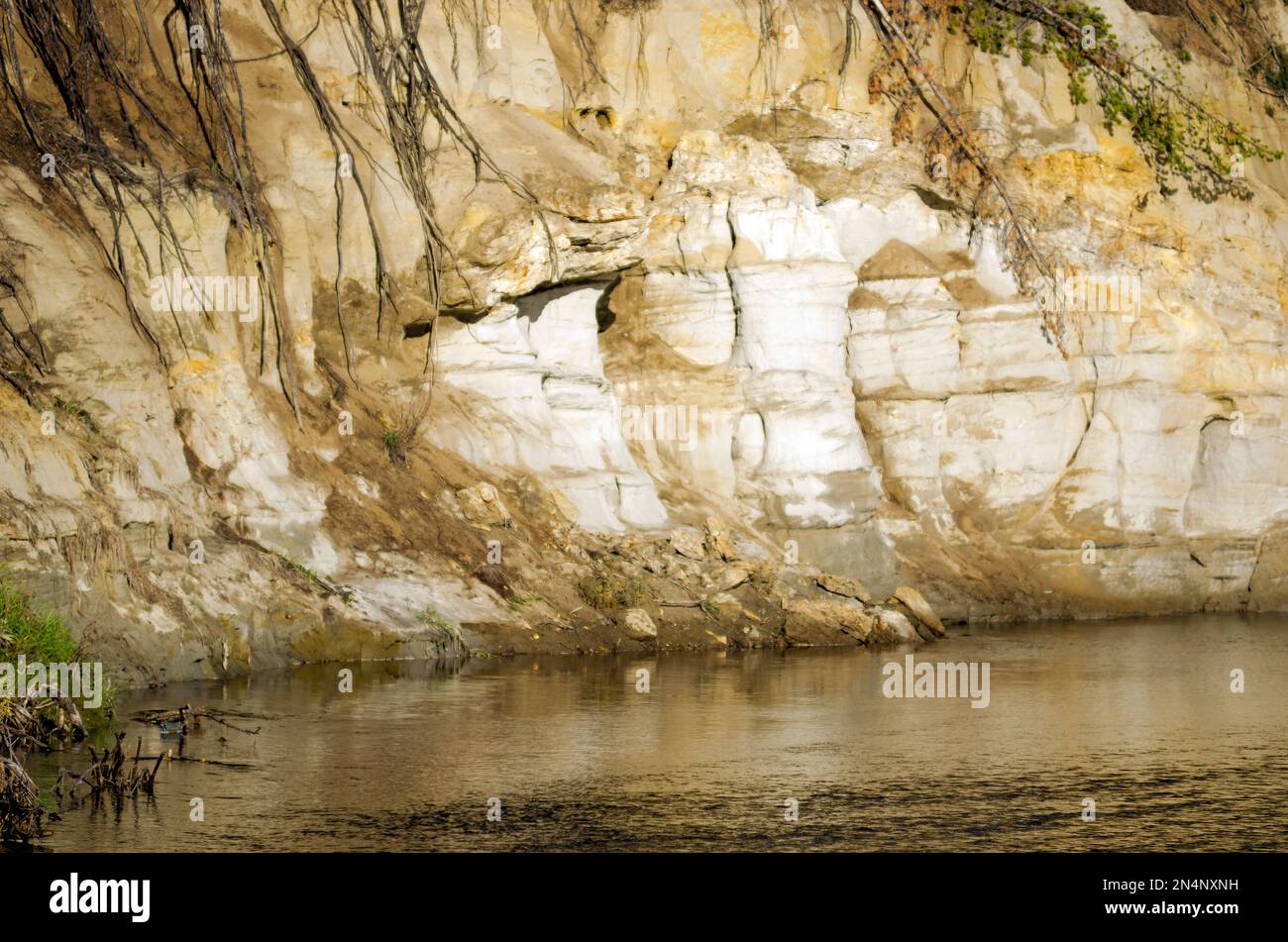 Falaises d'argile près de l'eau de la rivière avec érosion types de terrain et les racines exposées des arbres tombés dans la toundra arctique de Yakutia près. Banque D'Images