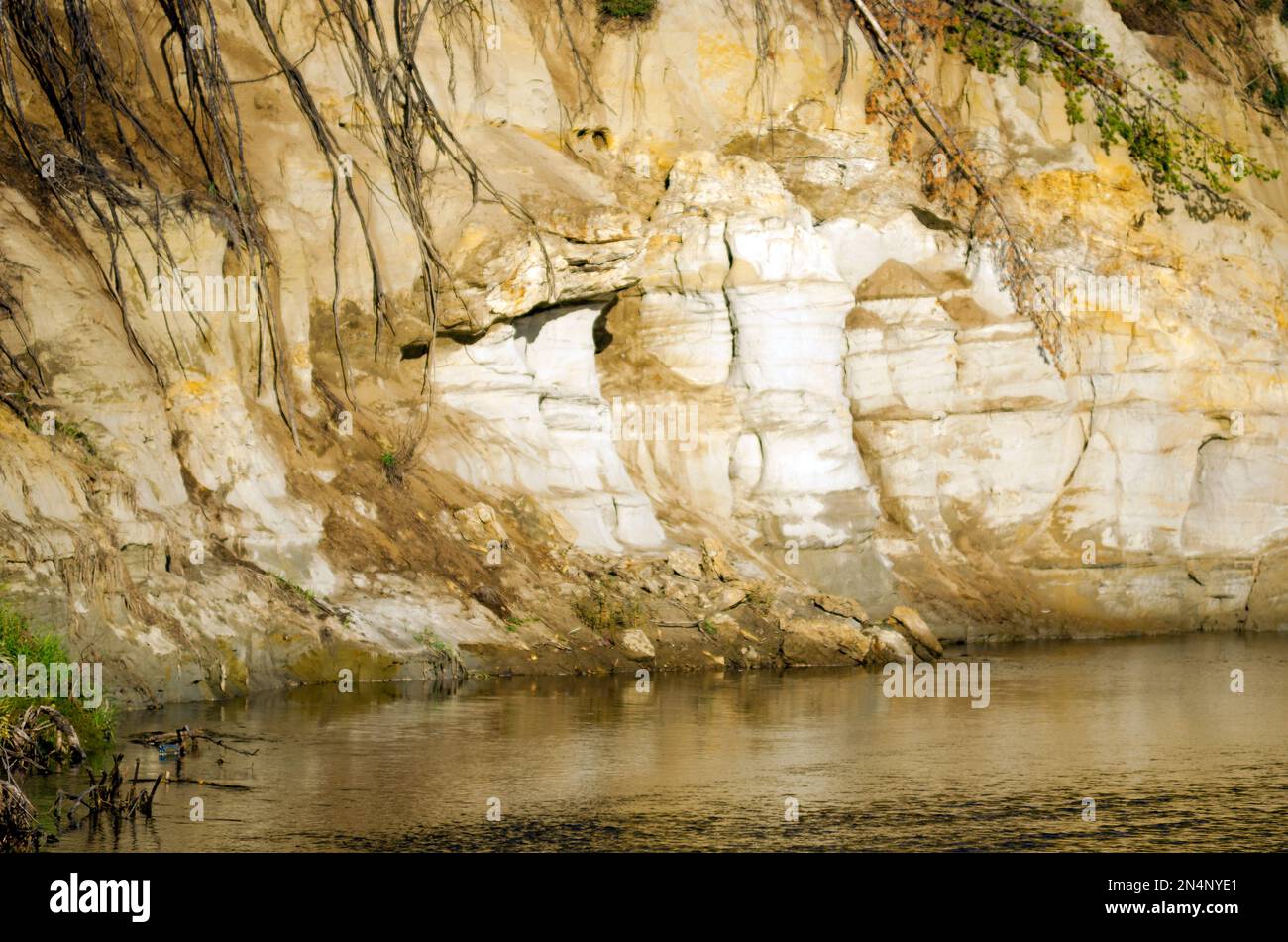 Falaise d'argile près de l'eau de la rivière avec des types de relief érosionnels et des racines protubérantes des arbres tombés de la toundra du Nord près de Yakutia Banque D'Images