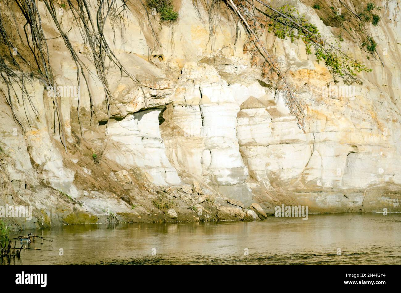 Falaise d'argile près de l'eau de la rivière avec des types de relief érosionnels et des racines protubérantes de pins effondrés de la toundra du Nord dans Yakutia n Banque D'Images