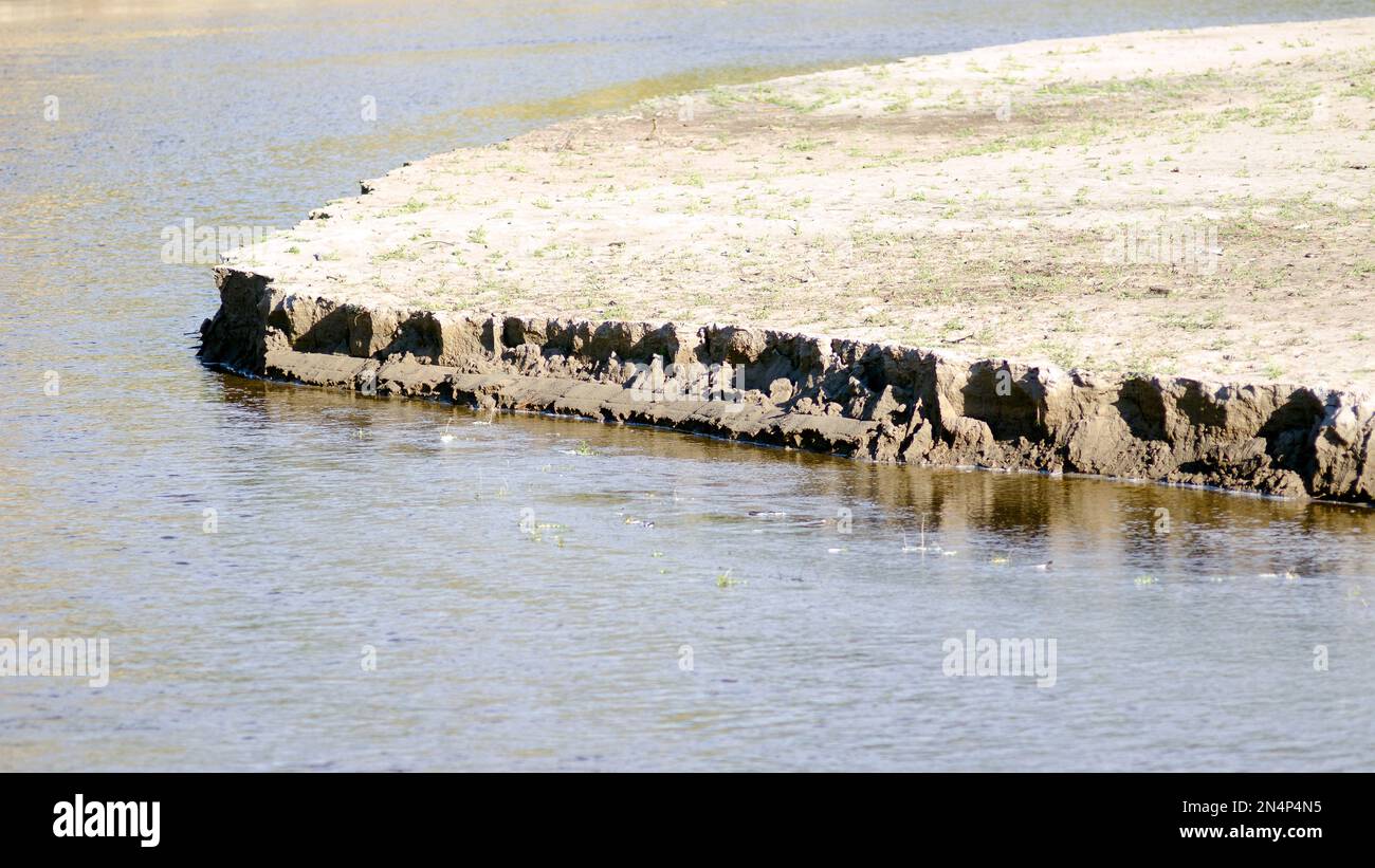 Le flux de l'eau de la rivière détruit le demi-cercle de la rive sablonneuse avec de l'herbe. Banque D'Images