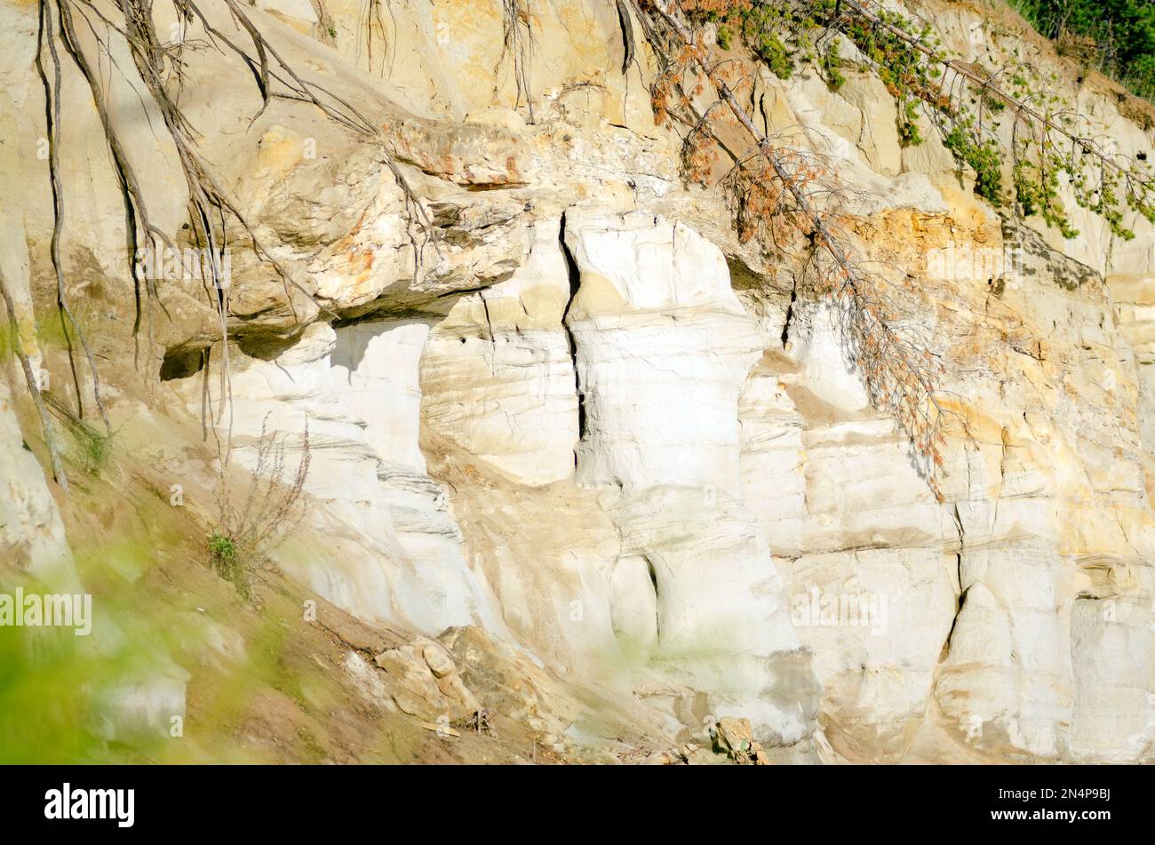 La falaise d'argile au bord de la rivière avec les types de terrain éroziunii et les racines saillantes des arbres des forêts du Nord dans Yakutia. Banque D'Images