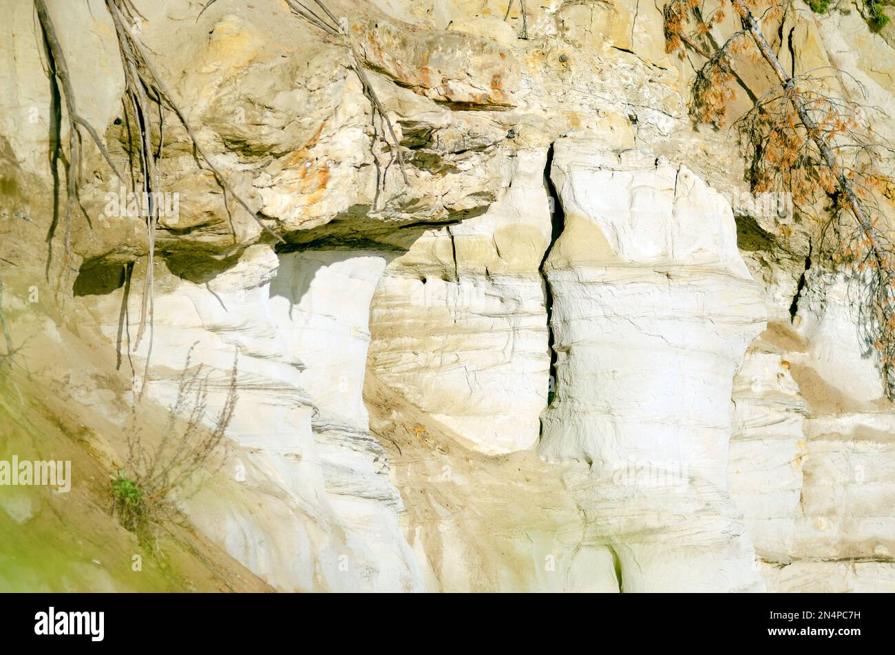 La falaise d'argile au bord de la rivière avec des types érosifs de terrain et des racines exposées d'arbres effondrés dans les forêts du nord de Yakutia à proximité. Banque D'Images