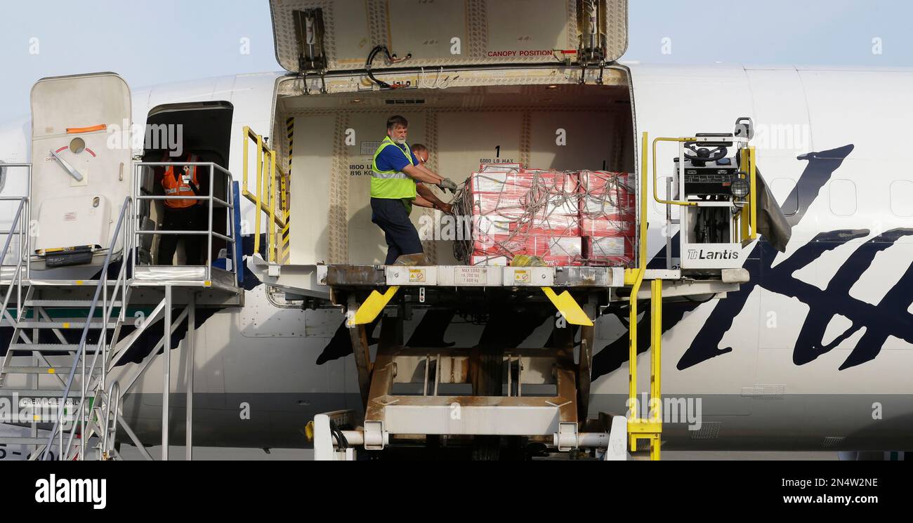 Alaska Airlines cargo workers unload pallets of the first shipment of Copper River salmon