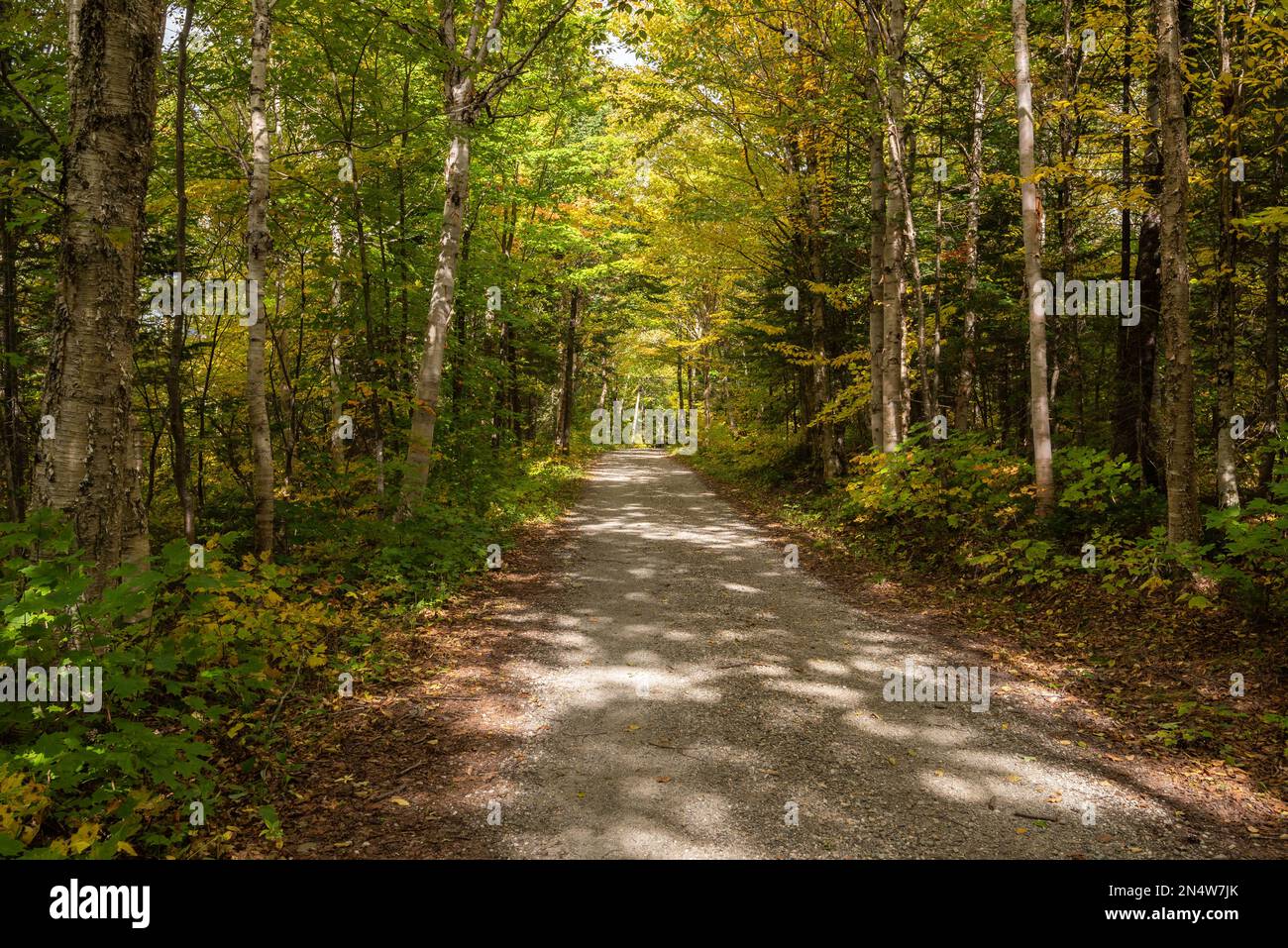 Vue sur un sentier de randonnée du parc régional du massif-du-Sud (Saint-Philemon, Chaudiere-Appalaches, Québec, Canada) Banque D'Images