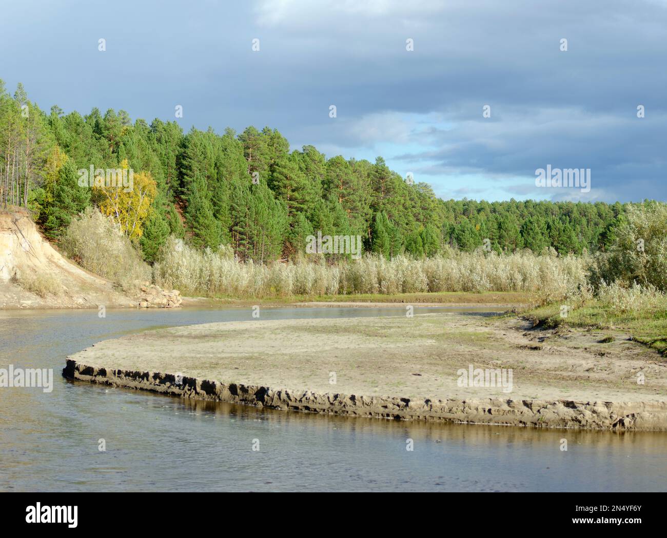 Érosion érosion la rive sablonneuse d'une petite rivière Yakut du Nord dans la taïga sauvage du Nord dans une forêt pittoresque d'épinette. Banque D'Images