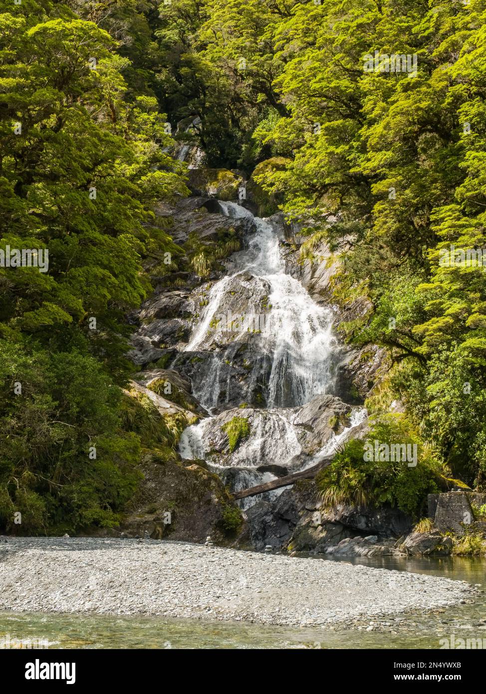 Fantail Falls, une chute d'eau en cascade à travers la forêt tropicale dense près de l'autoroute 6 sur l'île du Sud de la Nouvelle-Zélande Banque D'Images