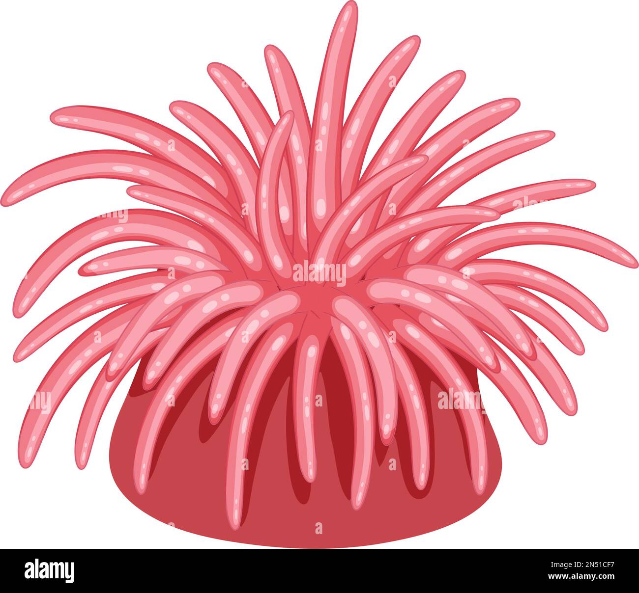 Illustration d'animaux de rivage d'anémones de mer isolées Illustration de Vecteur