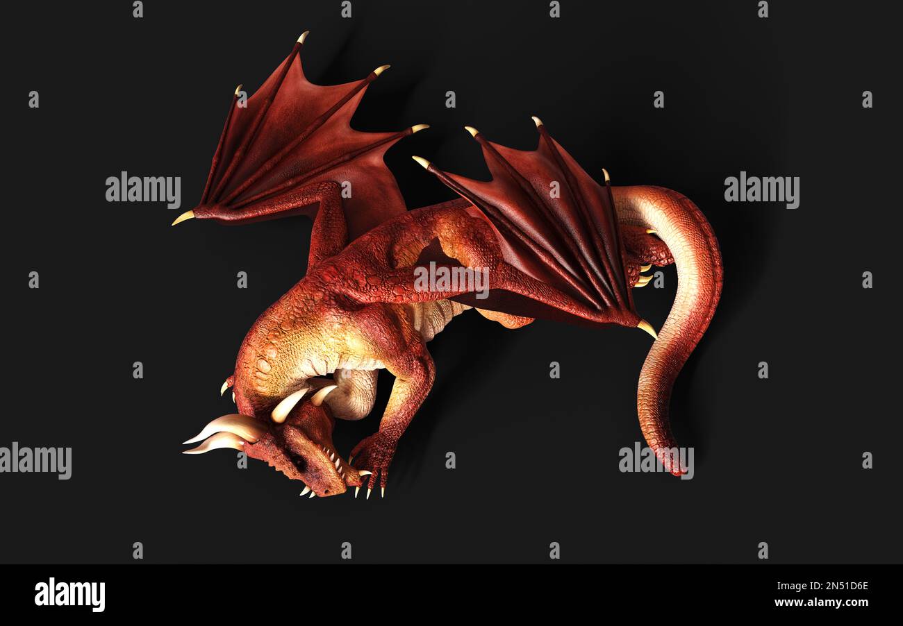 3d illustration d'un dragon de fantaisie rouge posant isolé sur fond noir avec un chemin d'écrêtage. Banque D'Images