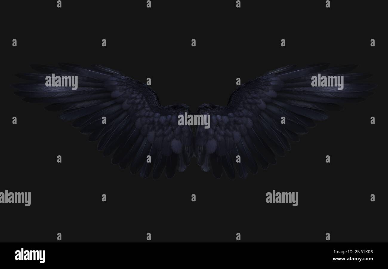 3D Illustration de l'aile Crow, des ailes Demon, du plumage de l'aile Black isolé sur fond noir. Banque D'Images