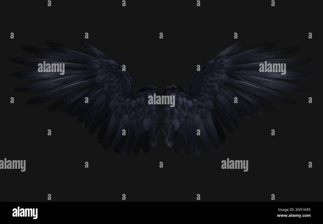 3D Illustration de l'aile Crow, des ailes Demon, du plumage de l'aile Black isolé sur fond noir. Banque D'Images