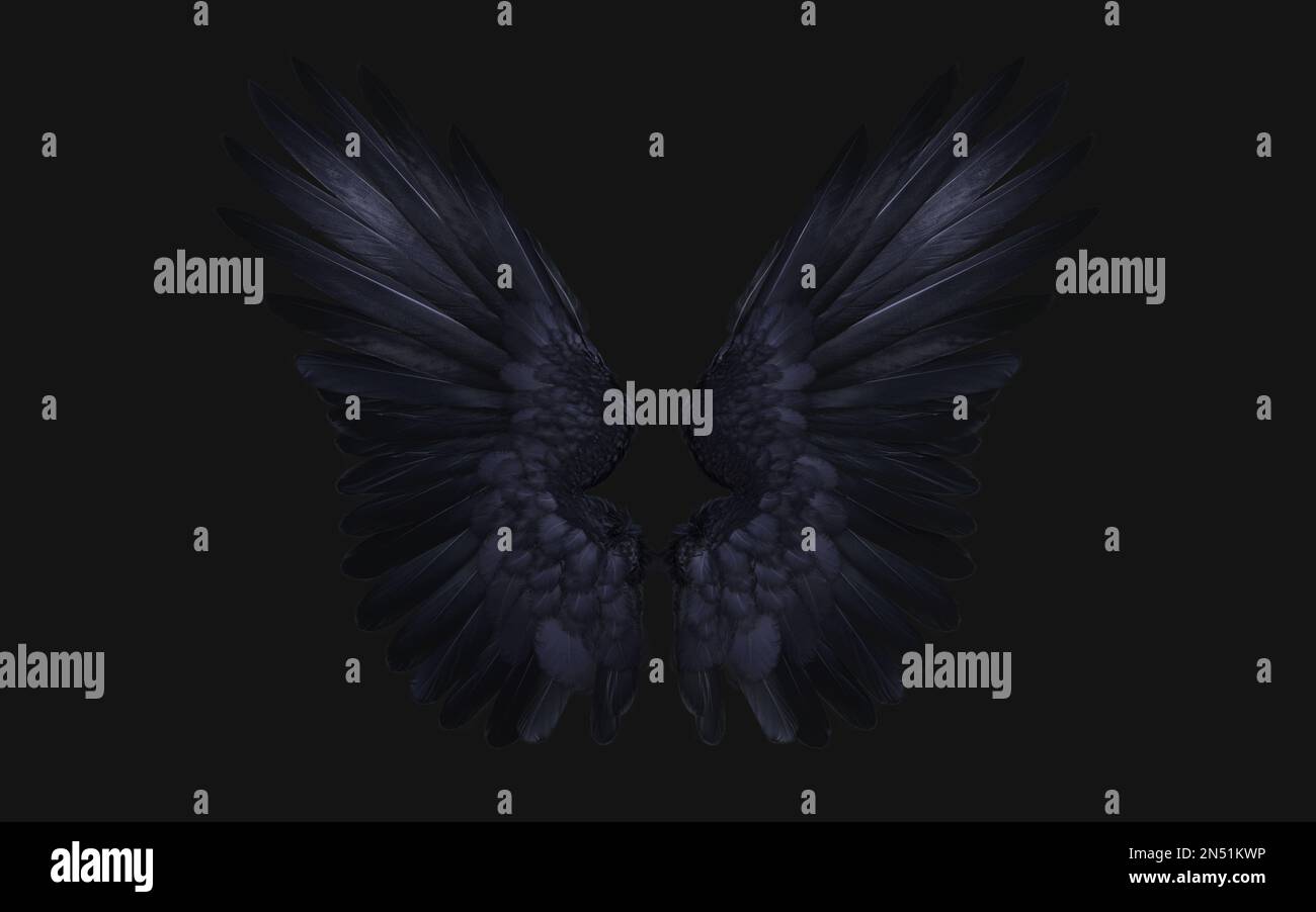 3D Illustration de l'aile Crow, des ailes Demon, du plumage de l'aile Black isolé sur fond noir. Banque D'Images