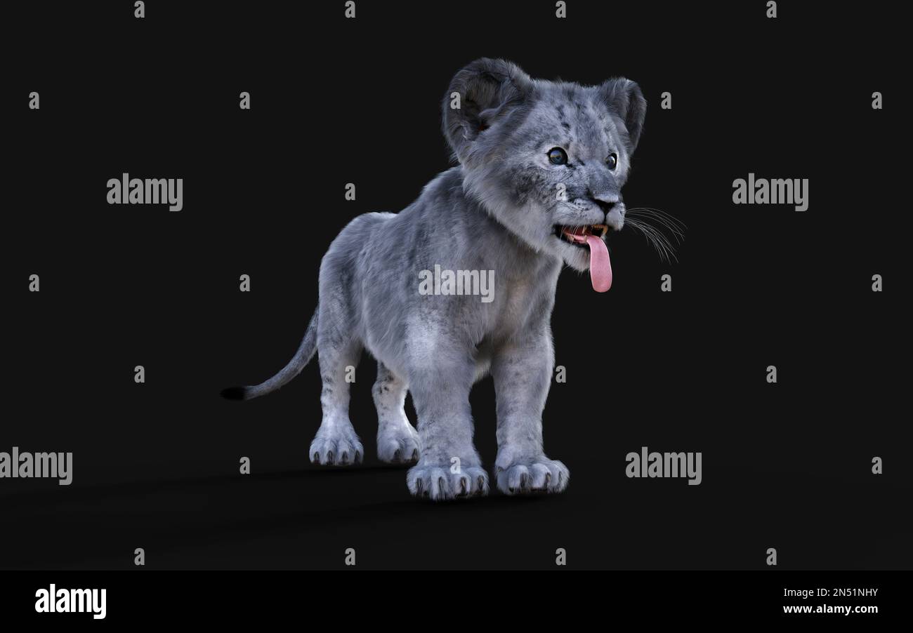 3D Illustration Portrait de la Cube blanche de petit Lion isolée sur fond sombre. Banque D'Images