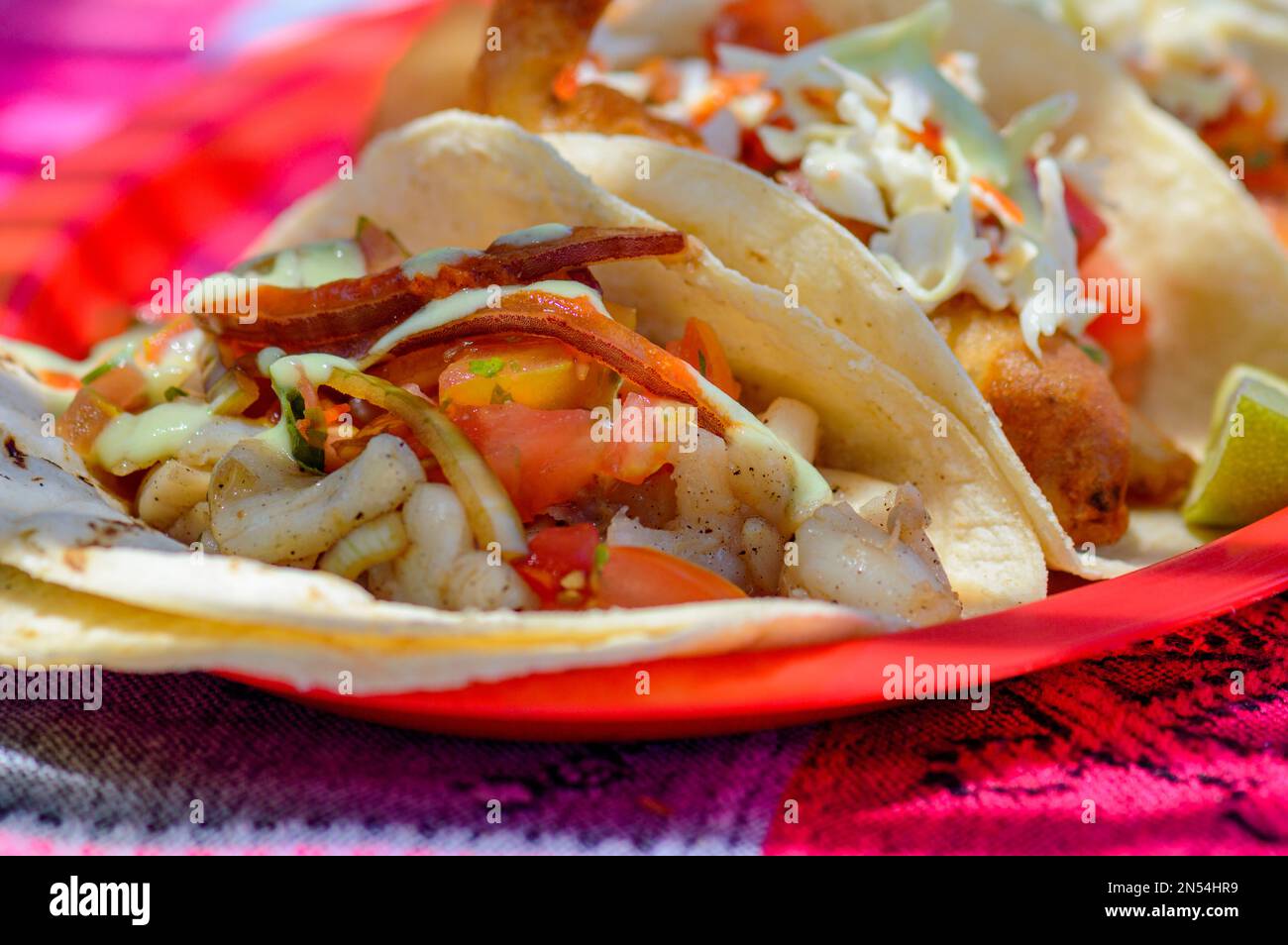 Tacos mexicains au poisson Baja à Todos Santos avec sauce fraîche sur fond coloré. Tacos de pétoncle, de marlin, de poisson blanc et de crevettes à la salsa de habanero Banque D'Images