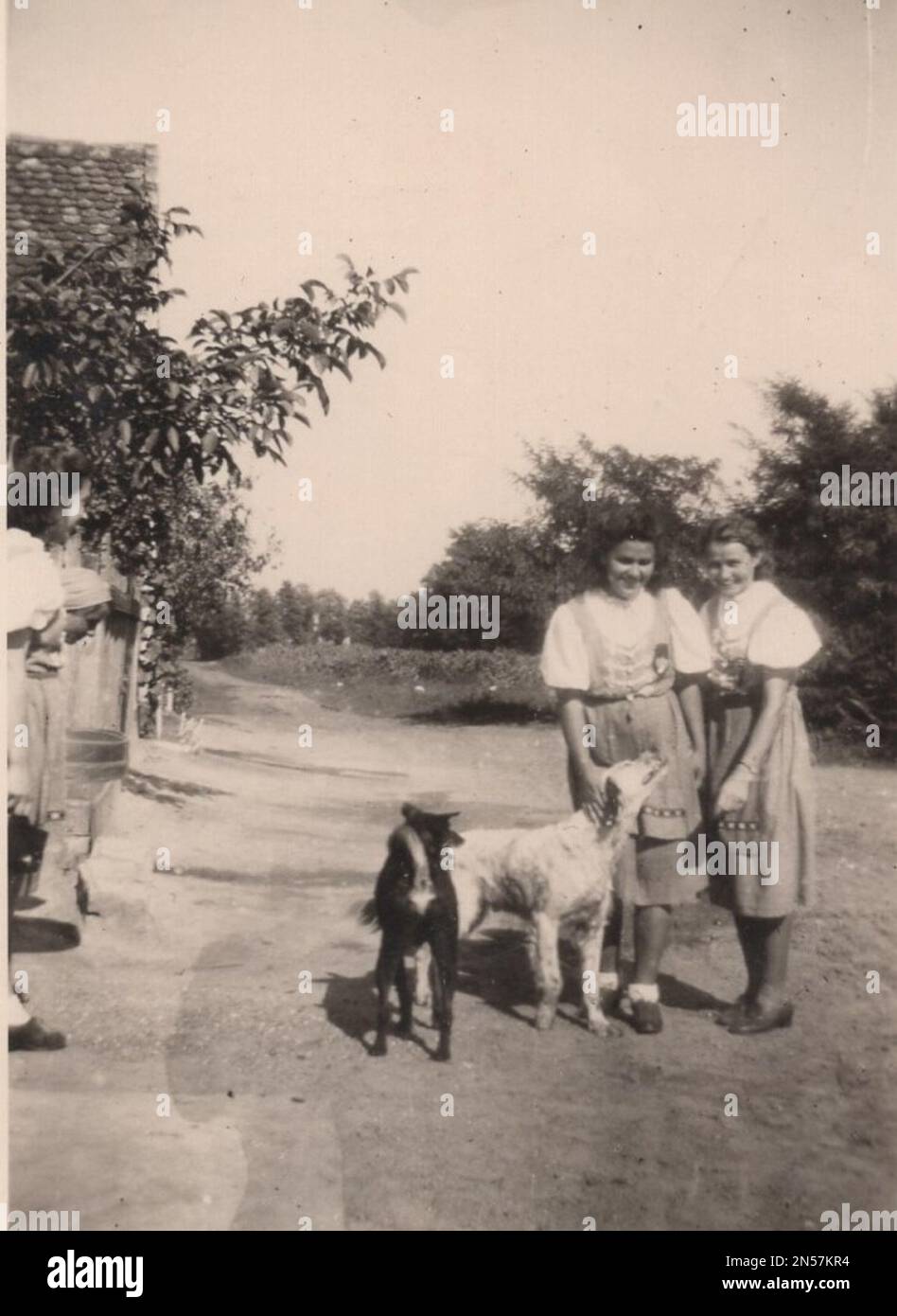 Vintage Photographie sur les chiens d'animaux : deux jeunes filles avec deux chiens. Un chien blanc et un chien noir marchent avec les dames. Les femmes portent des vêtements traditionnels folkloriques hongrois au 1930s Banque D'Images