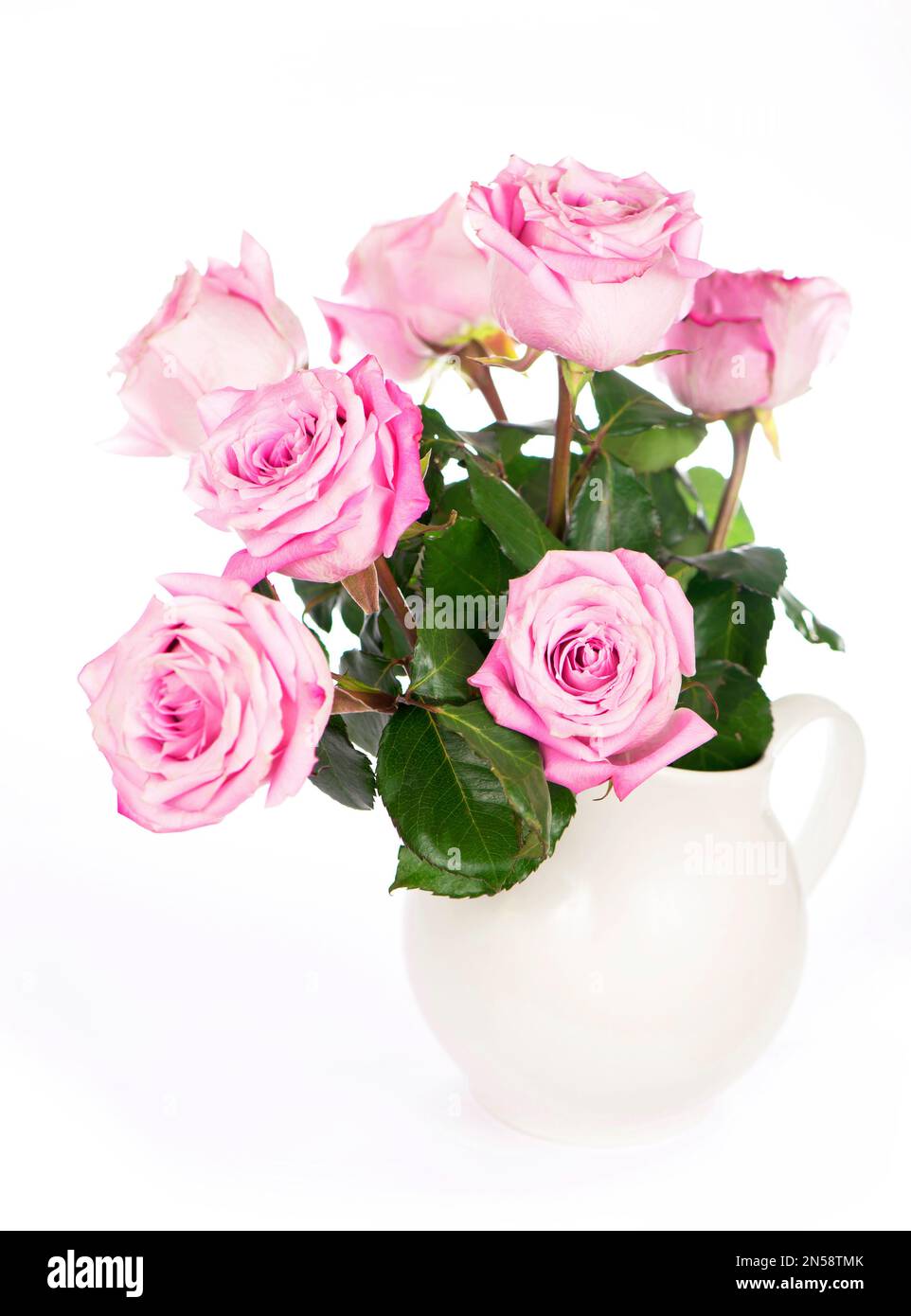 Fleur rose avec passe-cheveux, vue latérale. Belles roses sur tige avec des feuilles isolées sur fond blanc. Banque D'Images