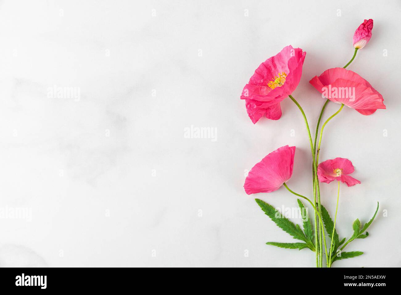 Bouquet de fleurs de pavot roses sur fond de marbre blanc. Carte de mariage. Pose à plat. Mise en page. Vue de dessus avec espace de copie Banque D'Images