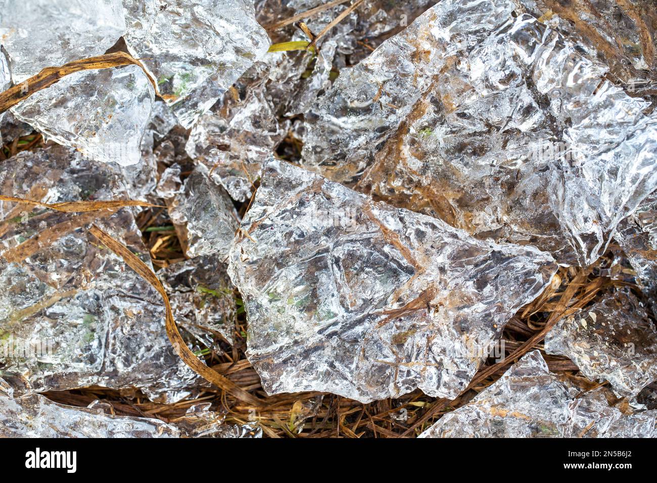 Herbe congelée dans de la glace cristalline. Gros plan. Arrière-plan, texture, motif. Modèle pour une inscription. Concept de fraîcheur Banque D'Images