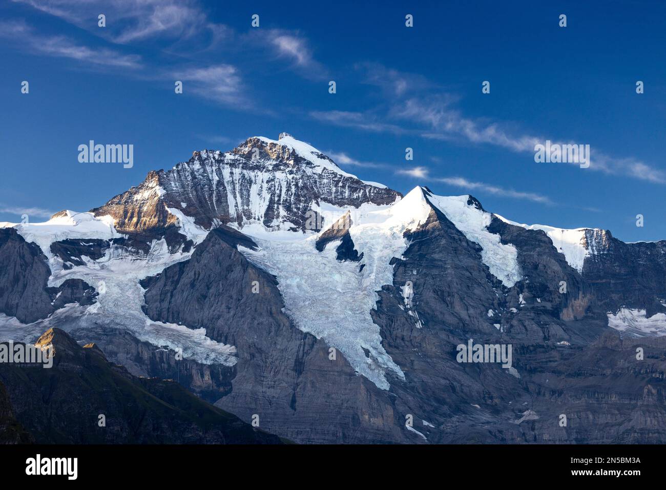 Vue de Schynige Platte à Jungfrau le matin, Suisse, Oberland bernois Banque D'Images