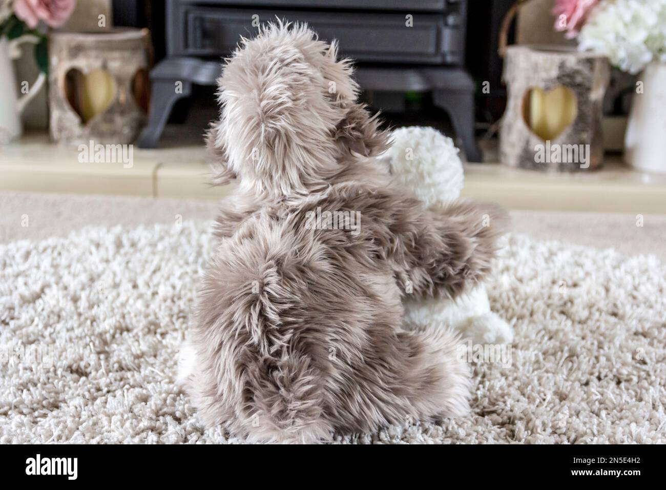 Soft Toys in Friends Forever Theme Banque D'Images